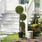 Boxwood Topiary Tree - Elegant Indoor/Outdoor Decor by LuxDecor