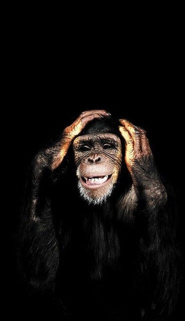 Abstract Monkey Canvas Art - Modern & Chic for Trendy Spaces