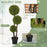 Boxwood Topiary Tree - Elegant Indoor/Outdoor Decor by LuxDecor